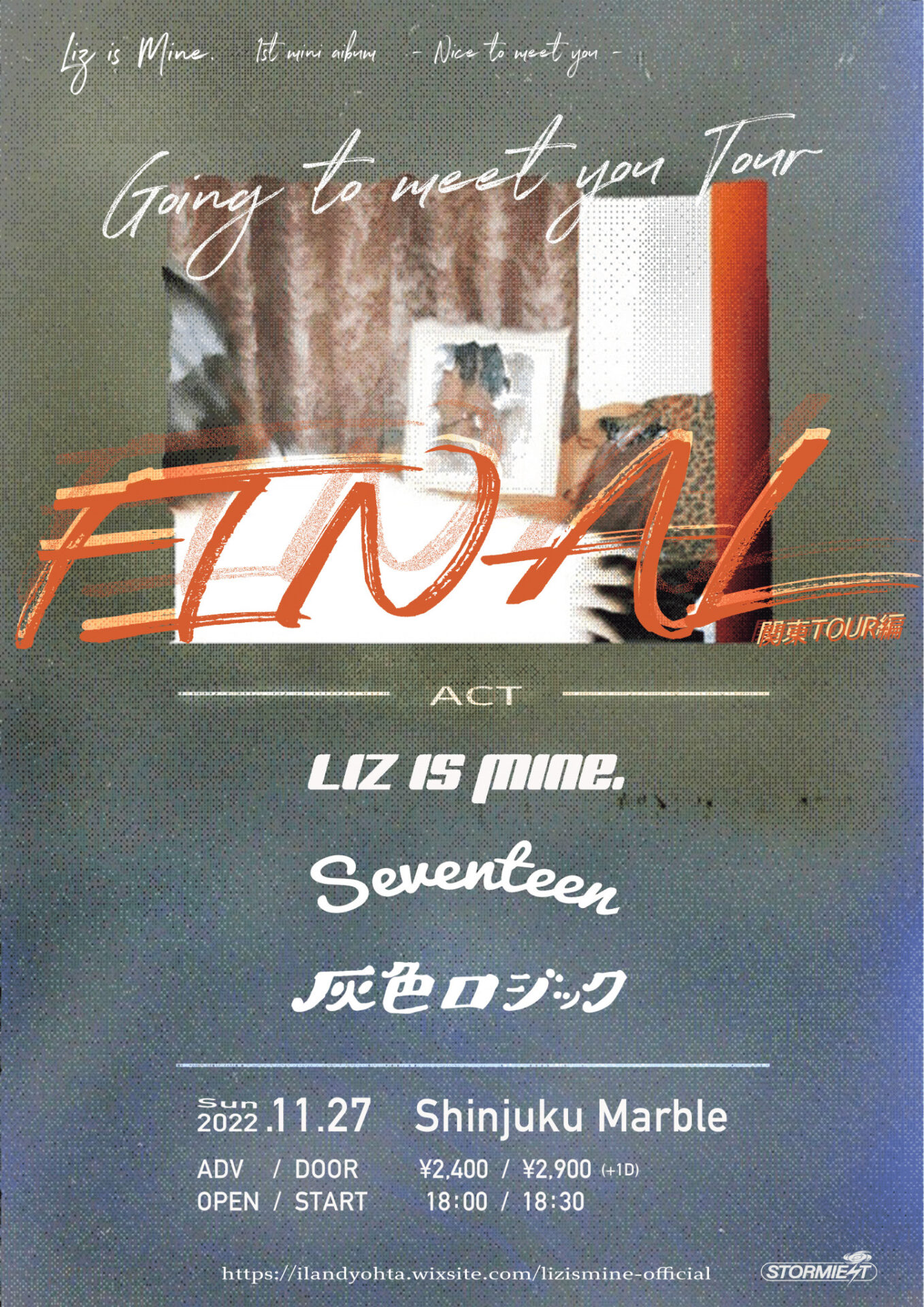 Liz is Mine. "Going to meet you Tour" × STORMIEST 1st LABEL TOUR [関東編TOUR FINAL]